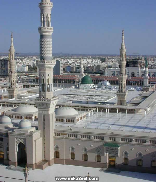 Madina-79